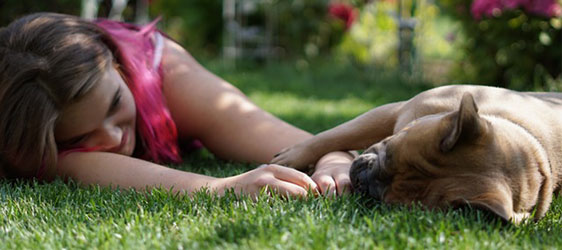 Photo of a young girl and her dog resting on freshly mowed grass in Calgary.